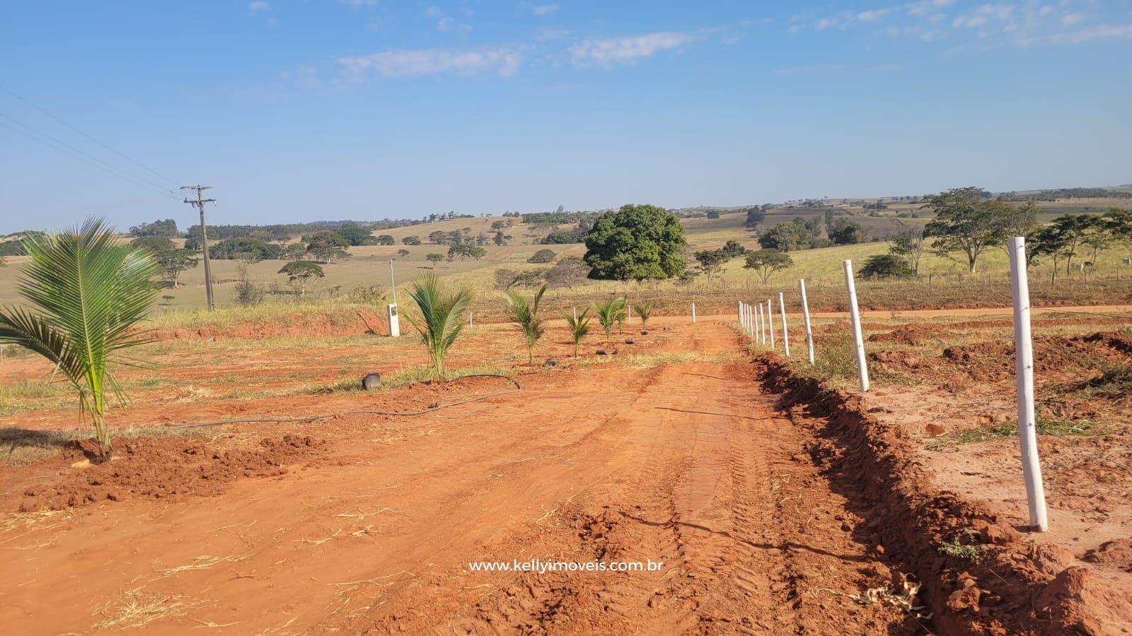 Chácara à venda com 2 quartos, 3800m² - Foto 5