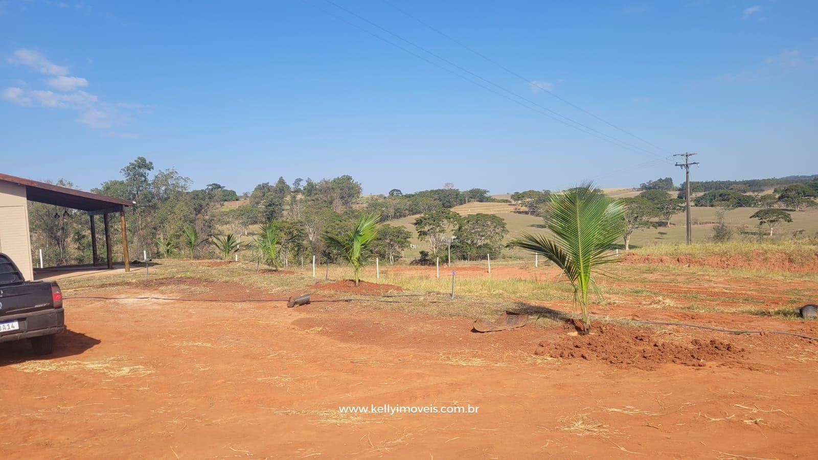 Chácara à venda com 2 quartos, 3800m² - Foto 6