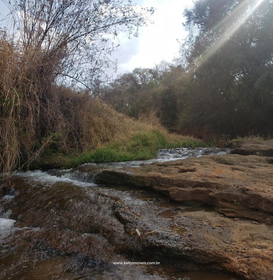 Chácara à venda com 1 quarto, 14000m² - Foto 29