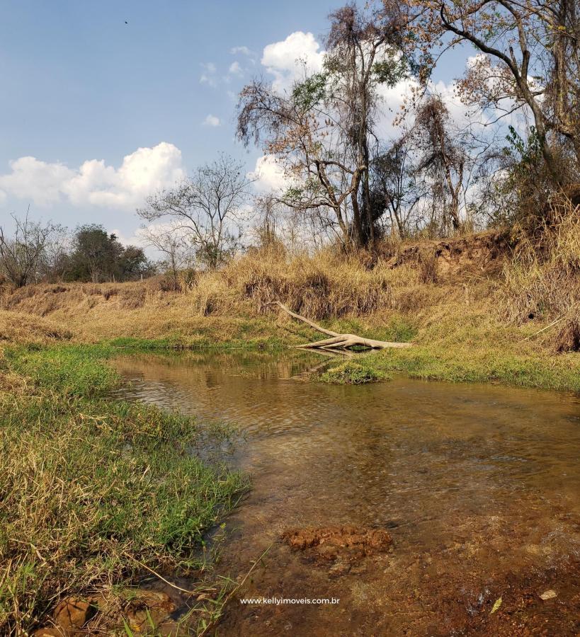 Chácara à venda com 1 quarto, 14000m² - Foto 30