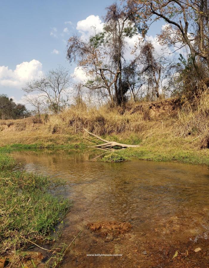 Chácara à venda com 1 quarto, 14000m² - Foto 31