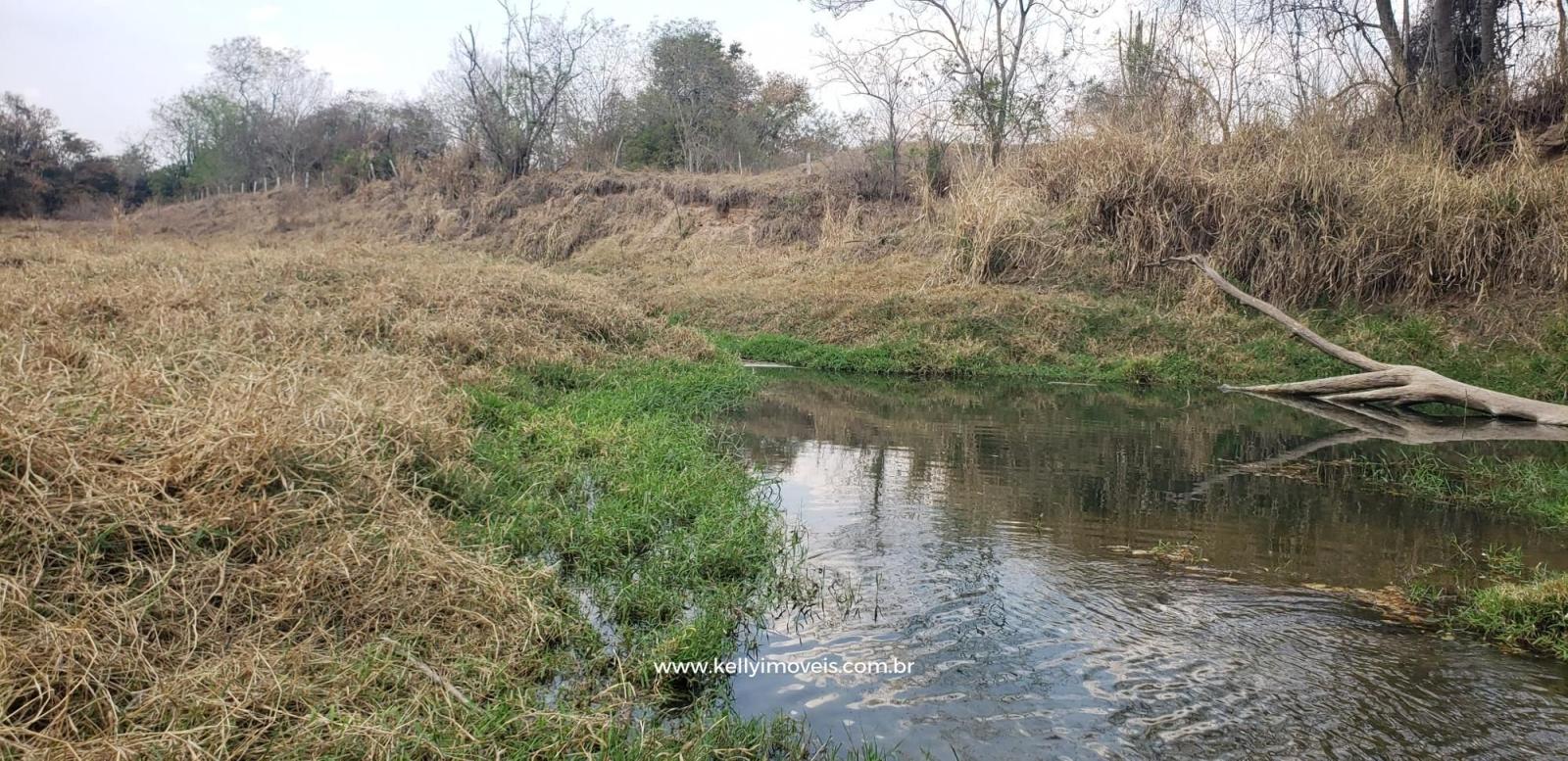 Chácara à venda com 1 quarto, 14000m² - Foto 39