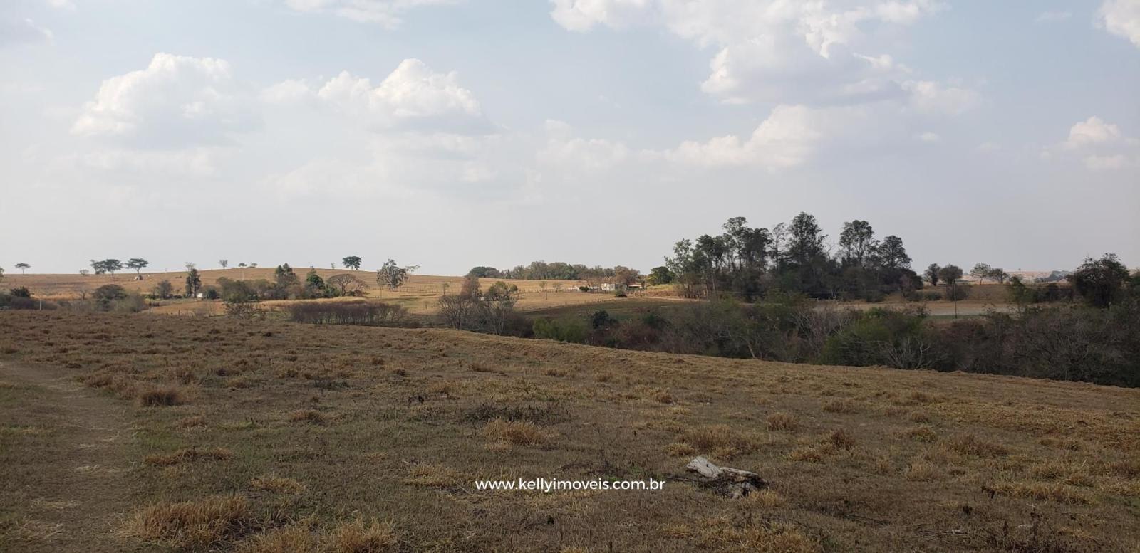 Chácara à venda com 1 quarto, 14000m² - Foto 52