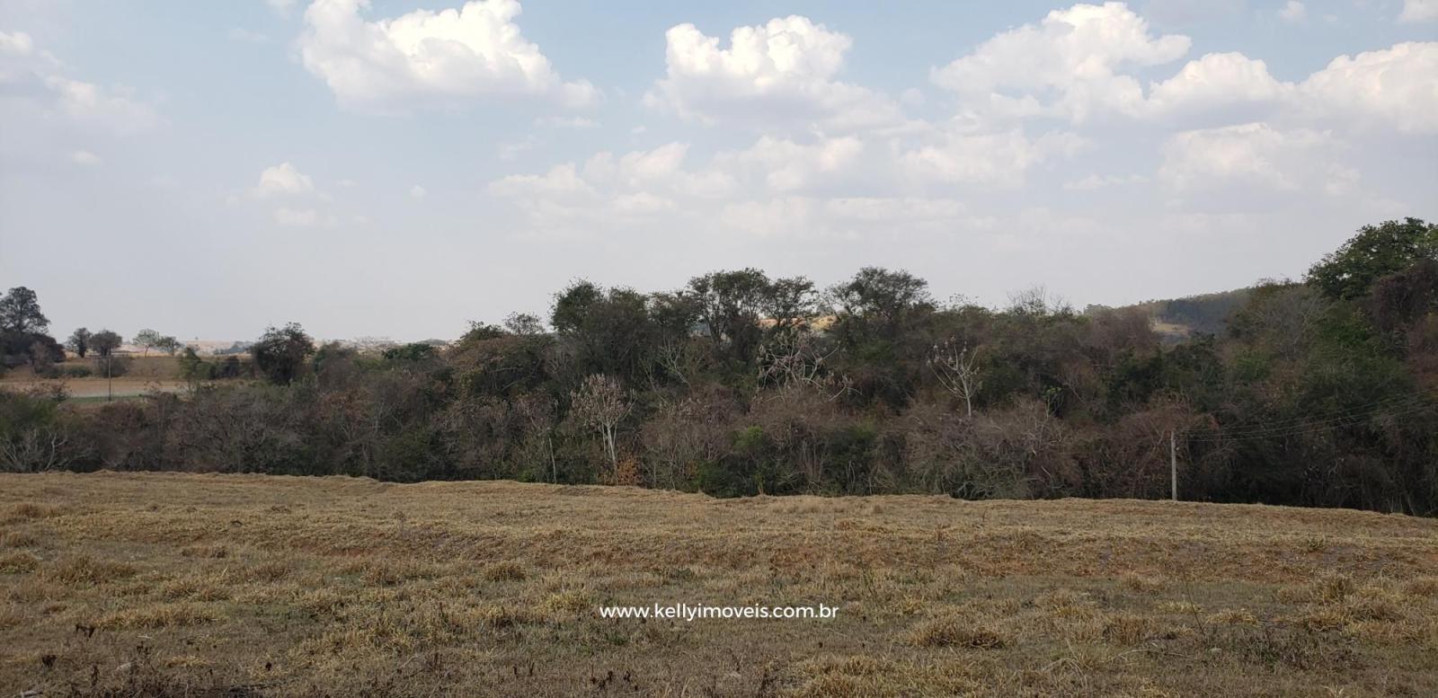 Chácara à venda com 1 quarto, 14000m² - Foto 53