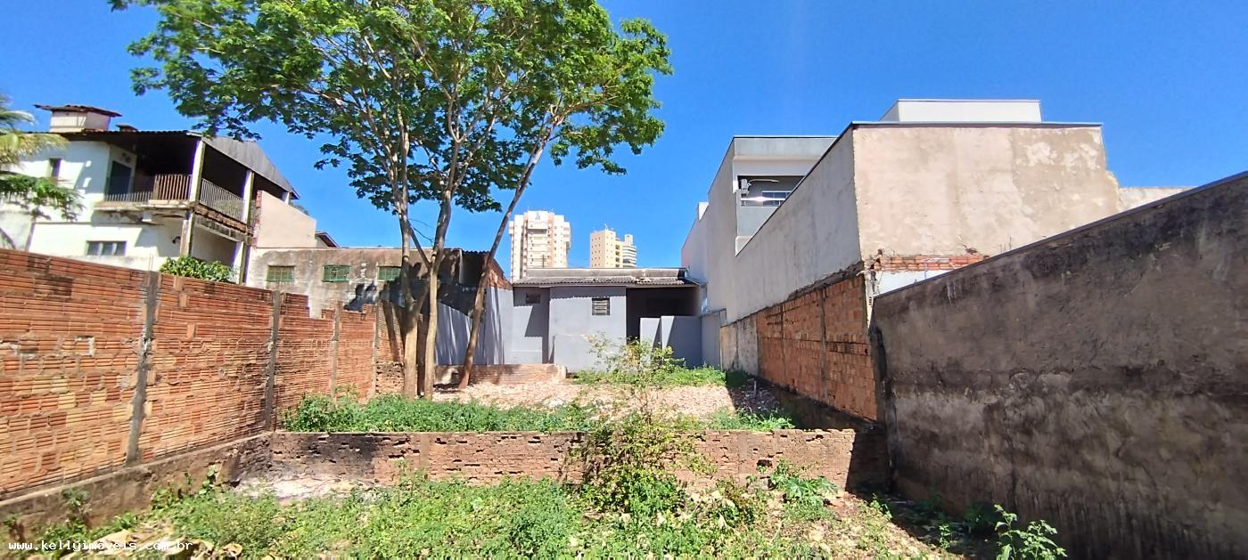 Casa à venda com 2 quartos, 440m² - Foto 18