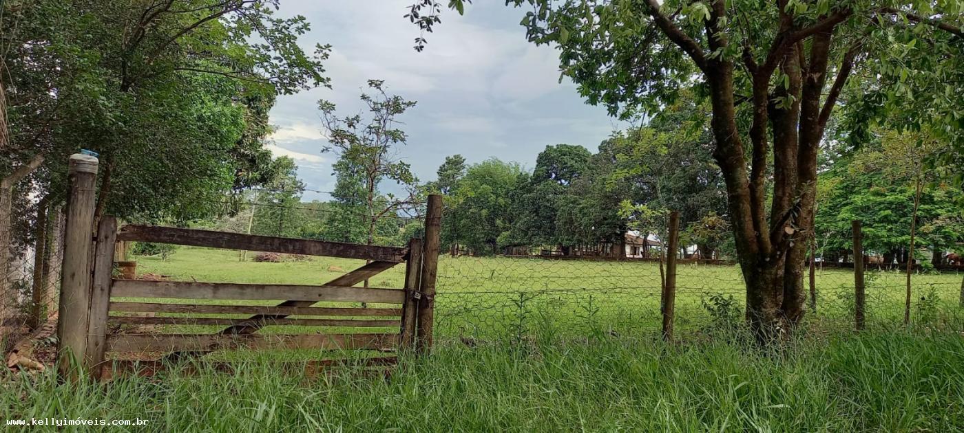 Chácara à venda, 5000m² - Foto 3