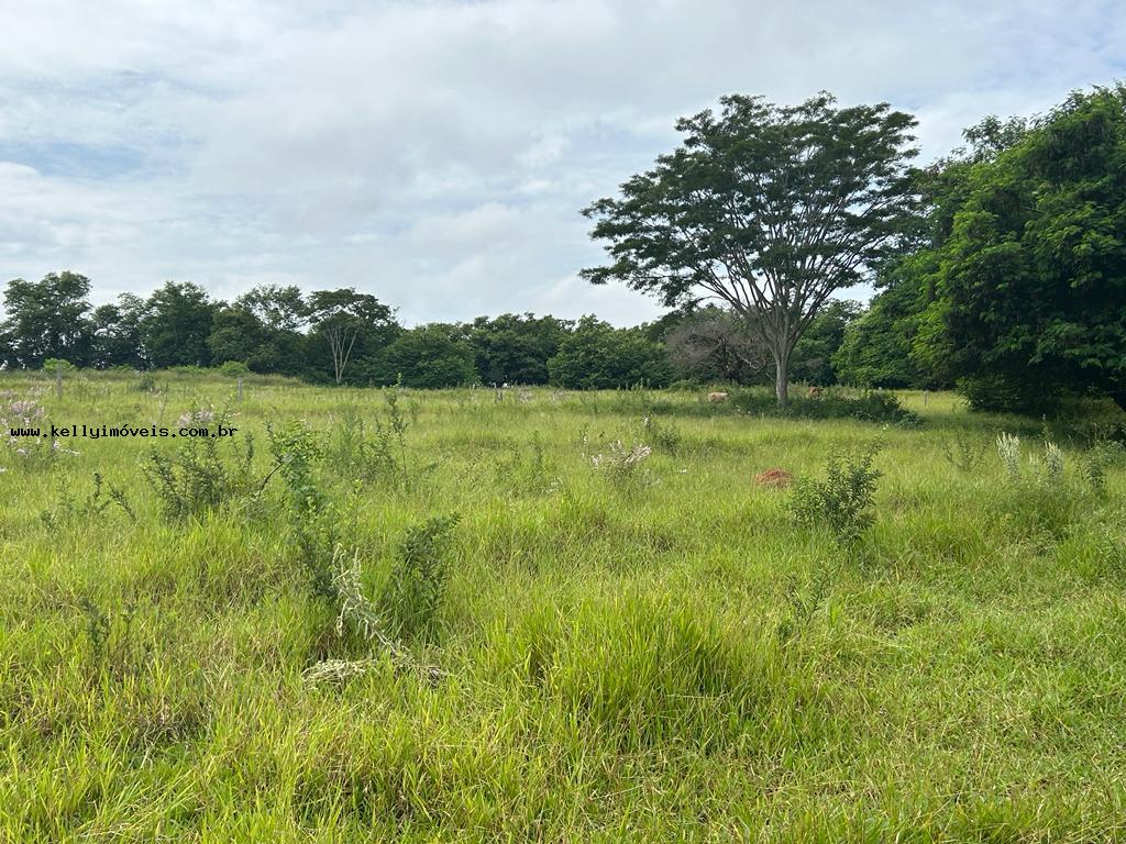 Chácara à venda, 20000m² - Foto 4