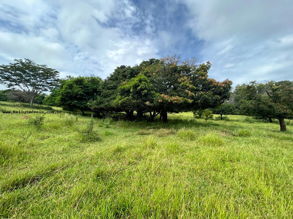 Chácara à venda, 20000m² - Foto 5