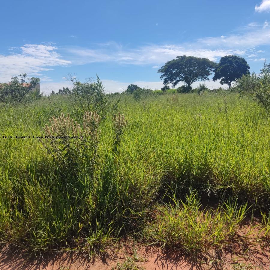 Chácara à venda, 1000m² - Foto 4