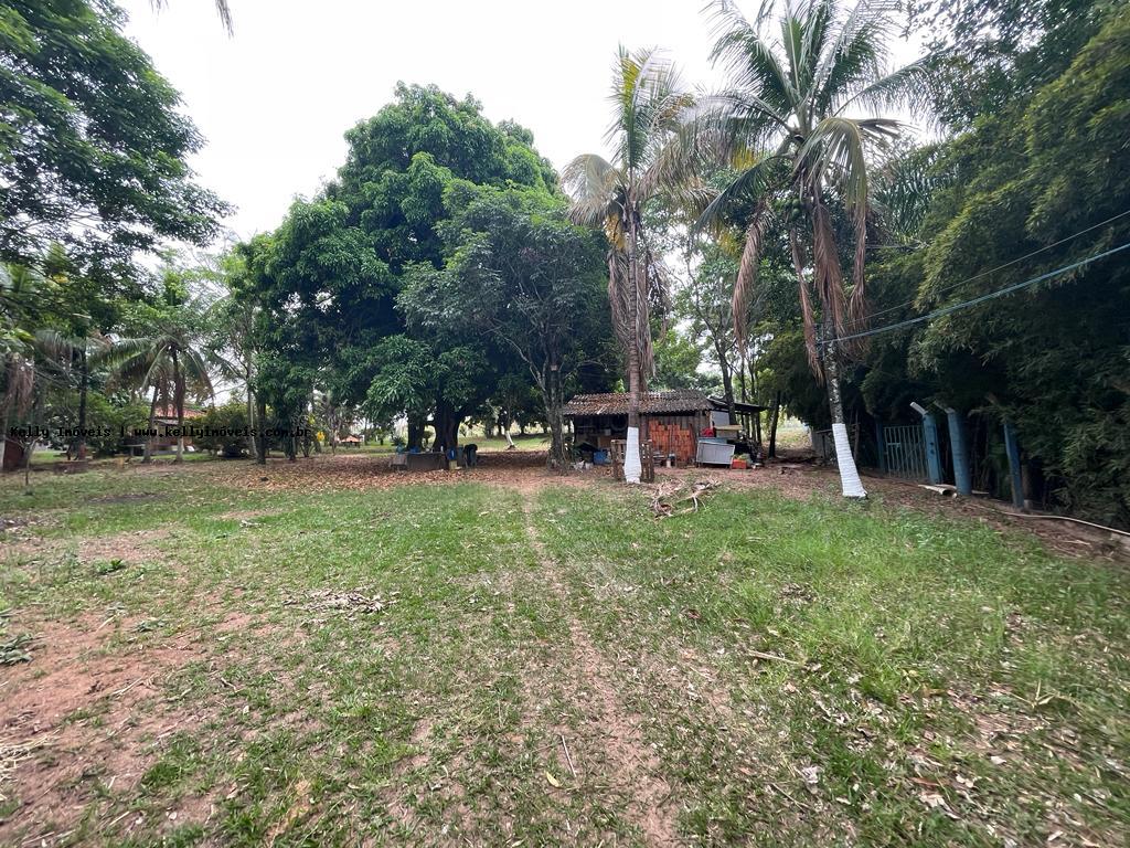 Chácara à venda com 3 quartos, 72600m² - Foto 23