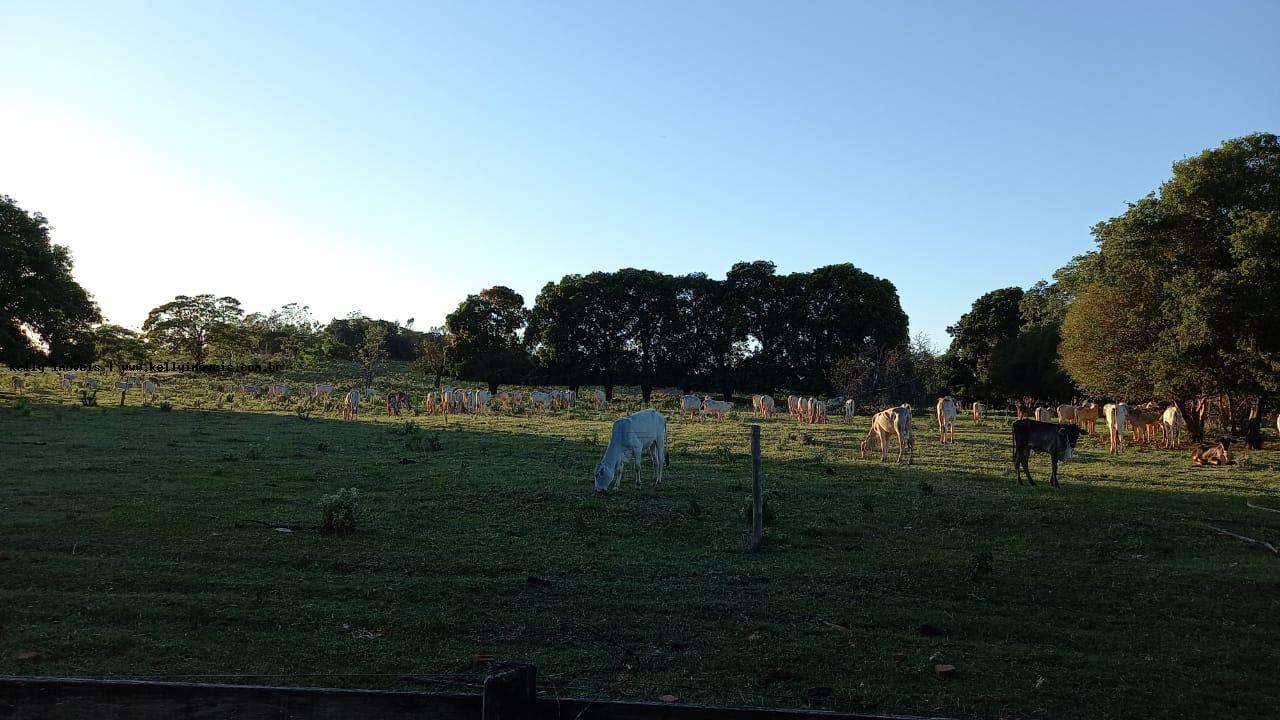 Chácara à venda com 5 quartos, 314600m² - Foto 7