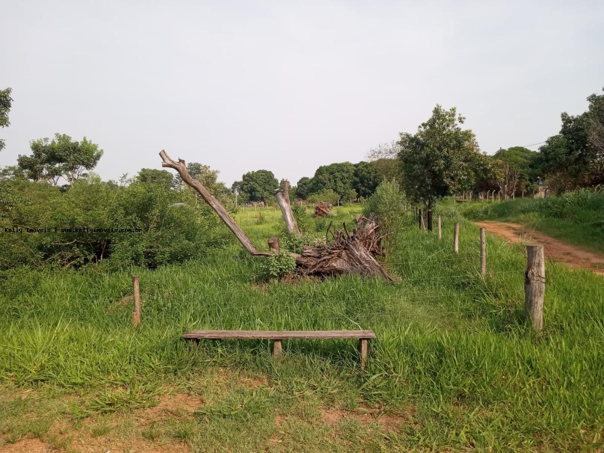 Terreno à venda, 5000m² - Foto 3