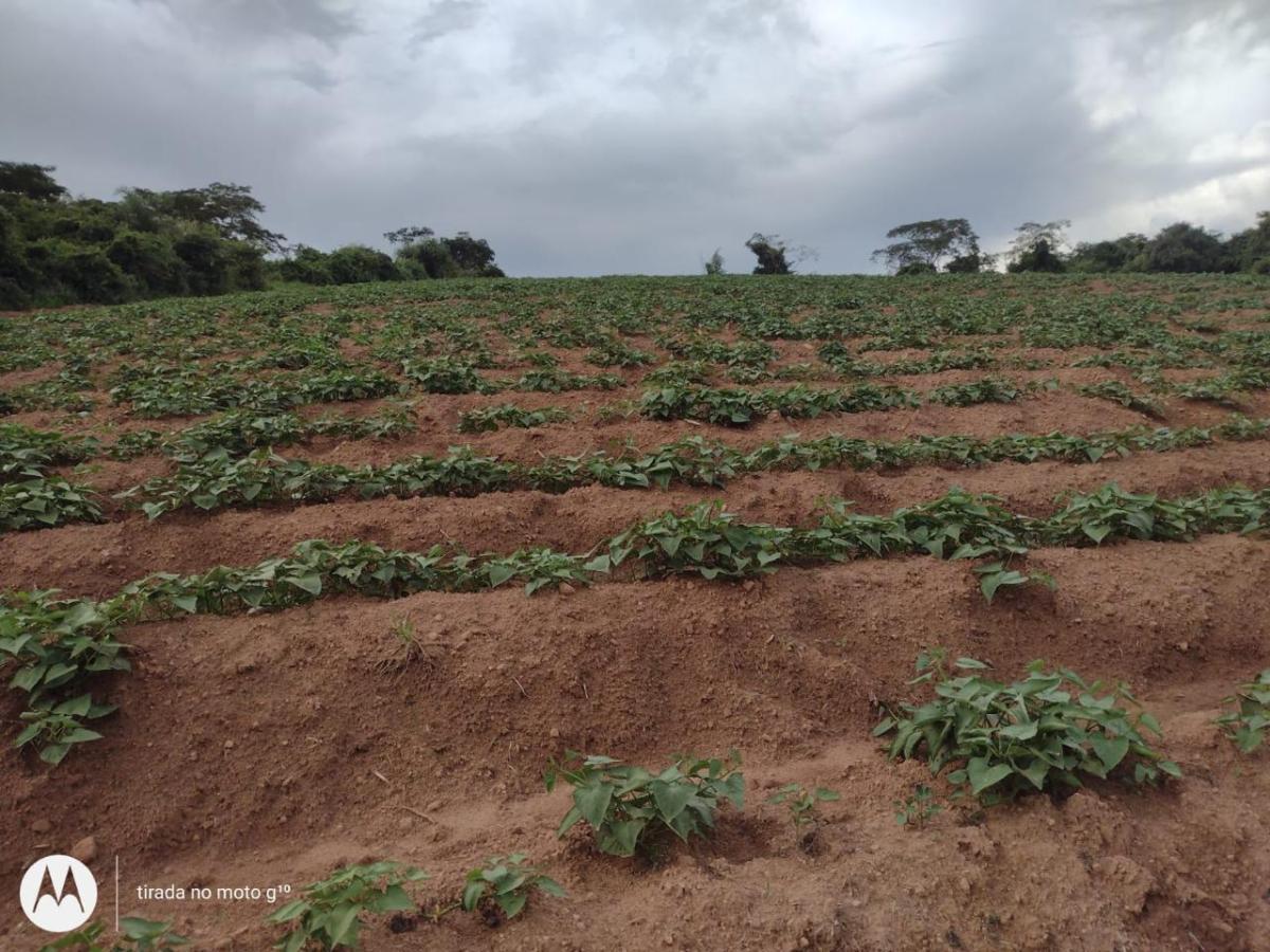 Chácara à venda, 384000m² - Foto 2