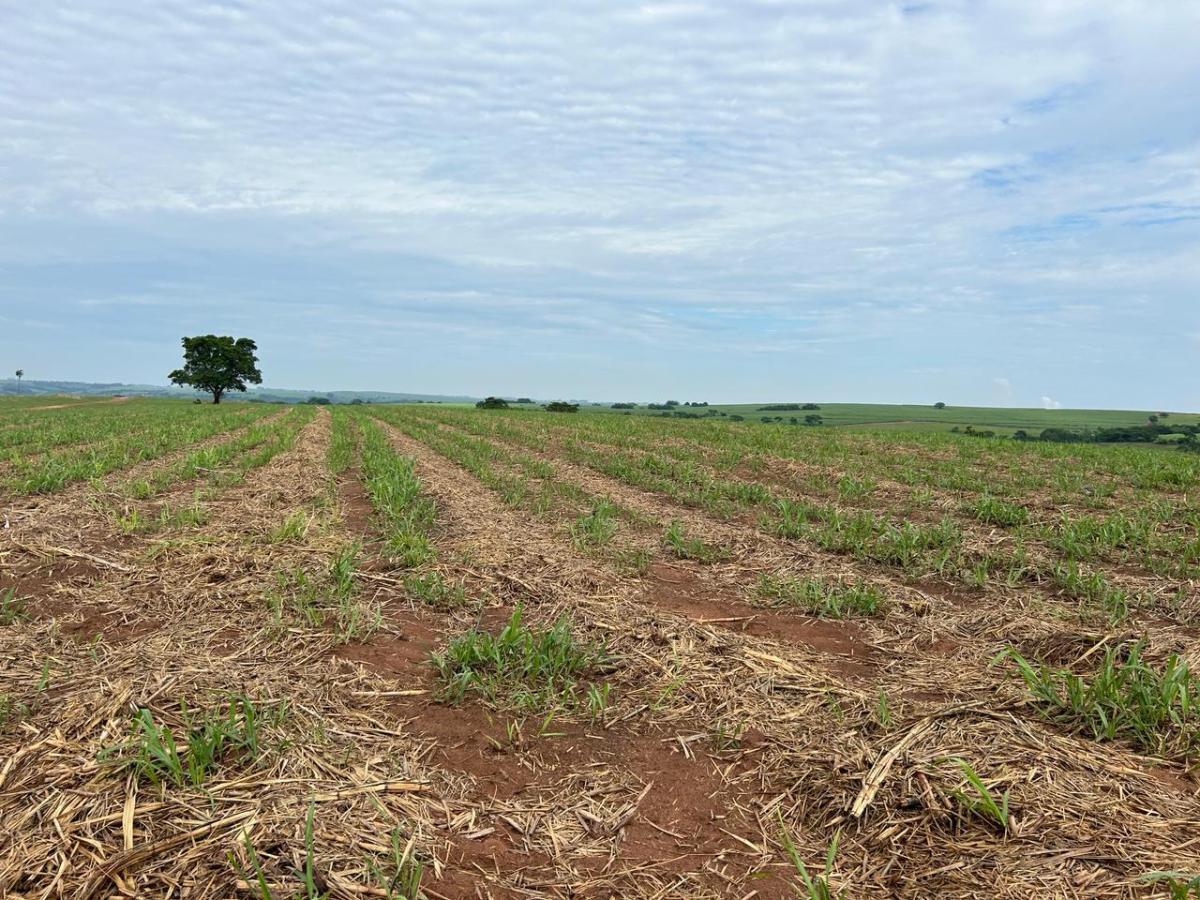 Chácara à venda, 384000m² - Foto 8