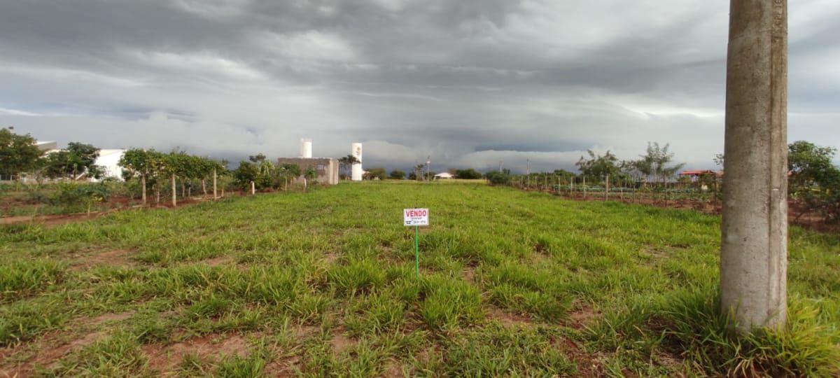 Terreno à venda, 1000m² - Foto 2