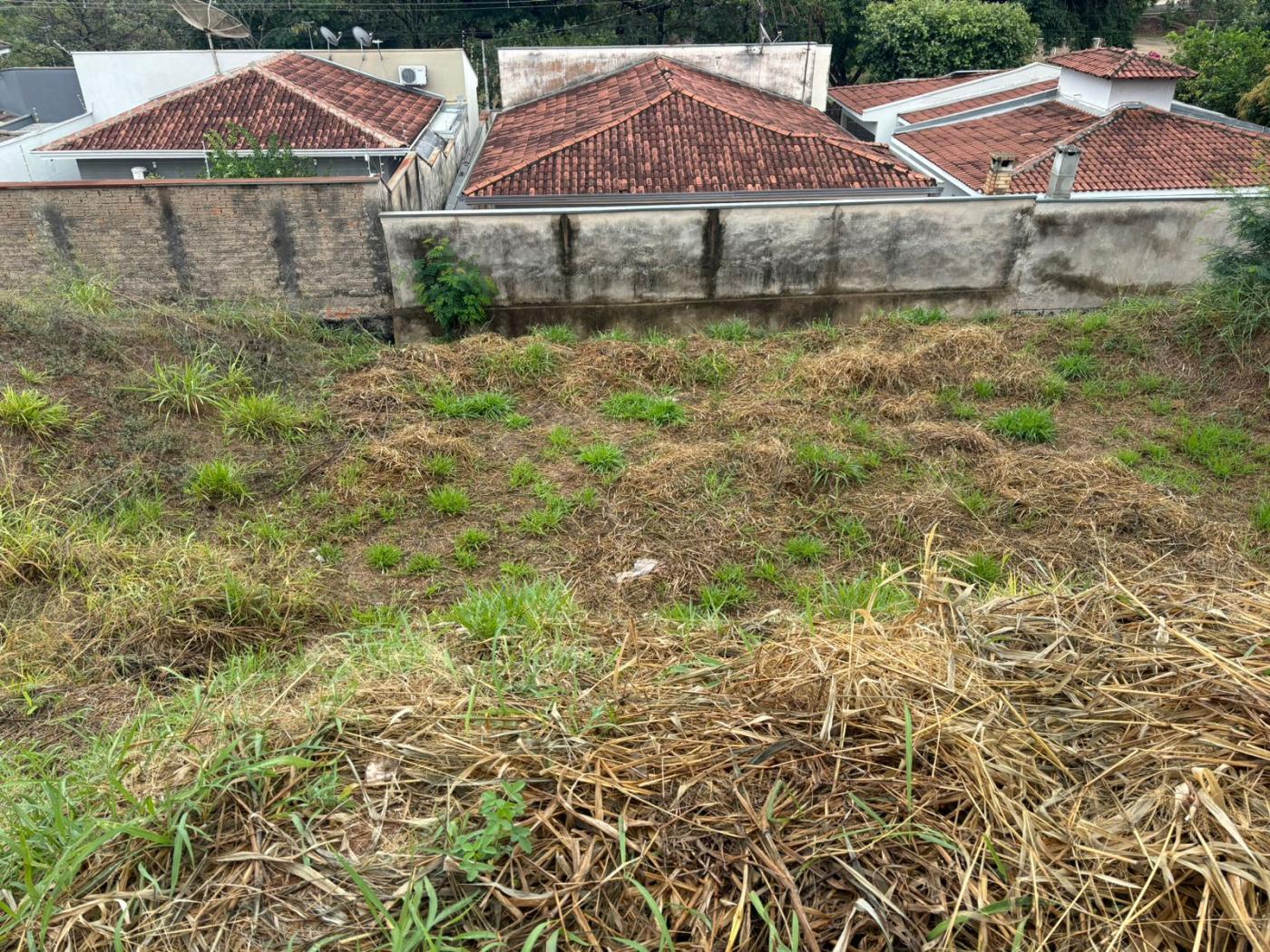 Terreno à venda, 300m² - Foto 2