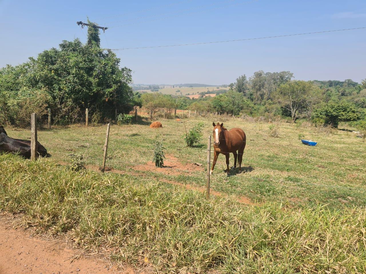 Chácara à venda, 24200m² - Foto 1