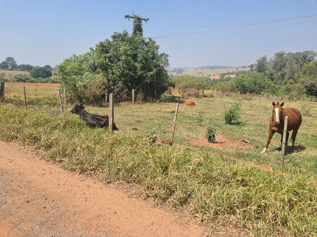 Chácara à venda, 24200m² - Foto 56